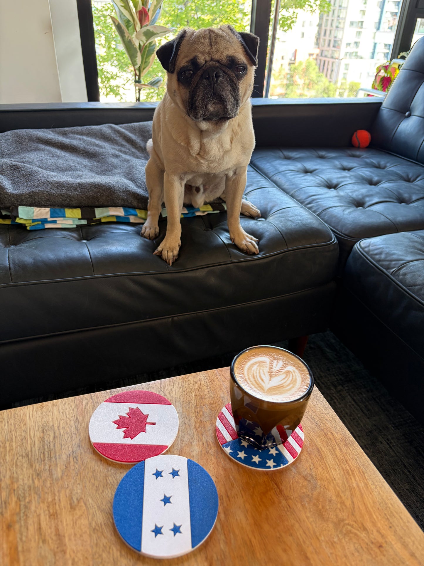 USA Flag Coaster Set
