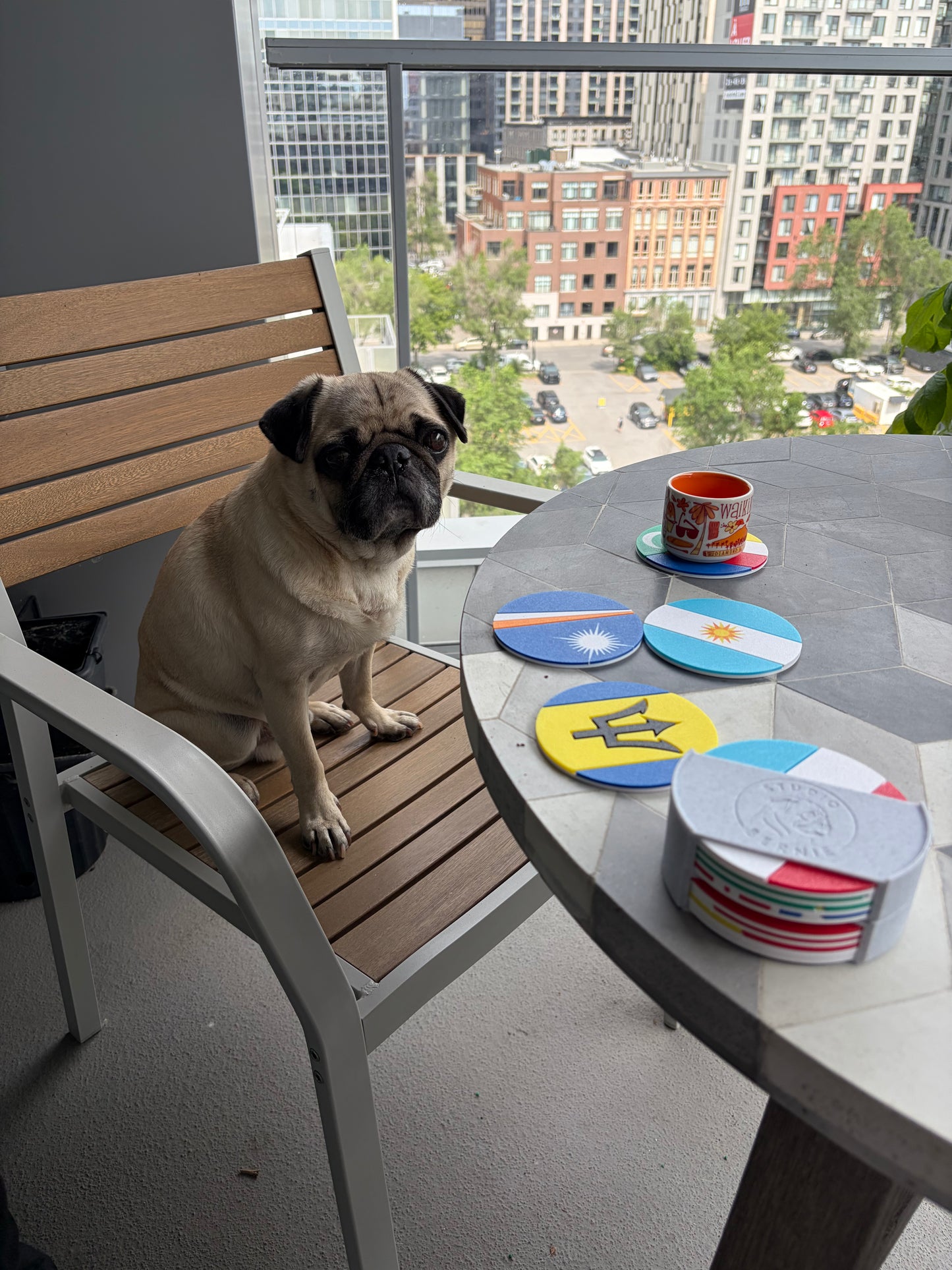 Argentina Flag Coaster Set